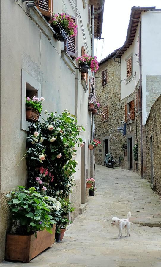 Casa Agata, Accogliente Appartamento Nel Centro Storico Cortona Luaran gambar